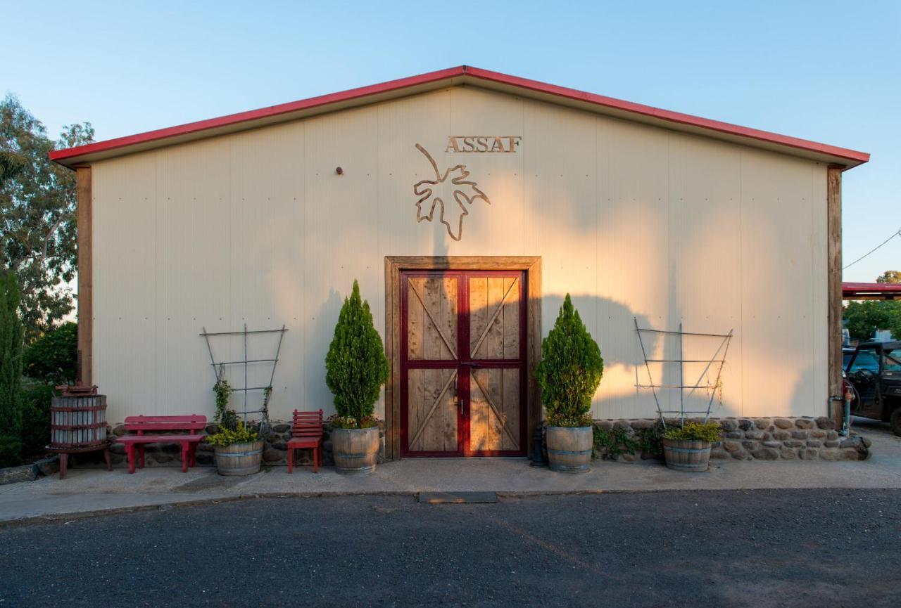 Assaf Boutique Winery & Cabins Kidmat Tsvi Zewnętrze zdjęcie